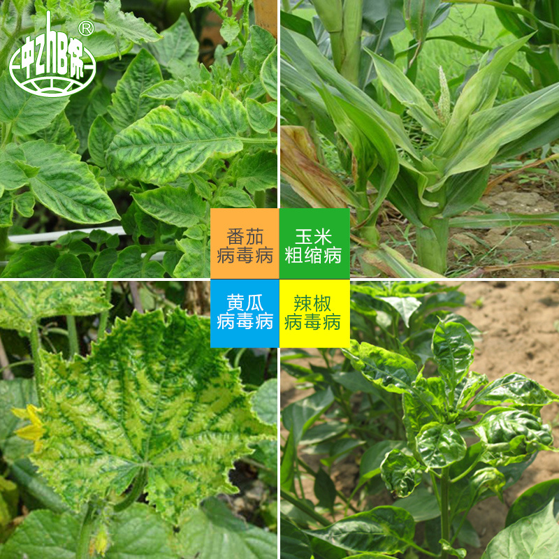 阿泰灵中保寡糖链蛋白植物番茄烟草病毒病农药杀菌剂1千克