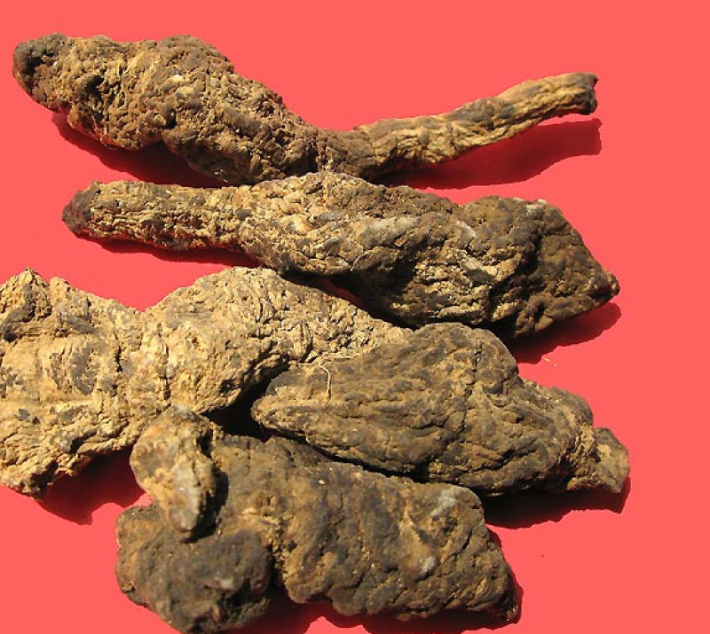生地无硫磺熏蒸另有熟地各种规格