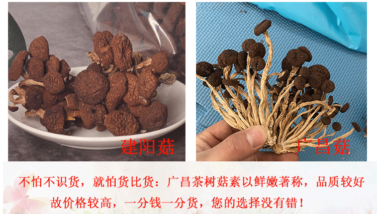 君志江西广昌5号茶树菇干货5斤装包邮新货精品产地货源