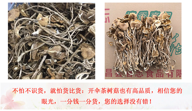 江西广昌开伞茶树菇干货精品5斤装包邮柄长条形均匀