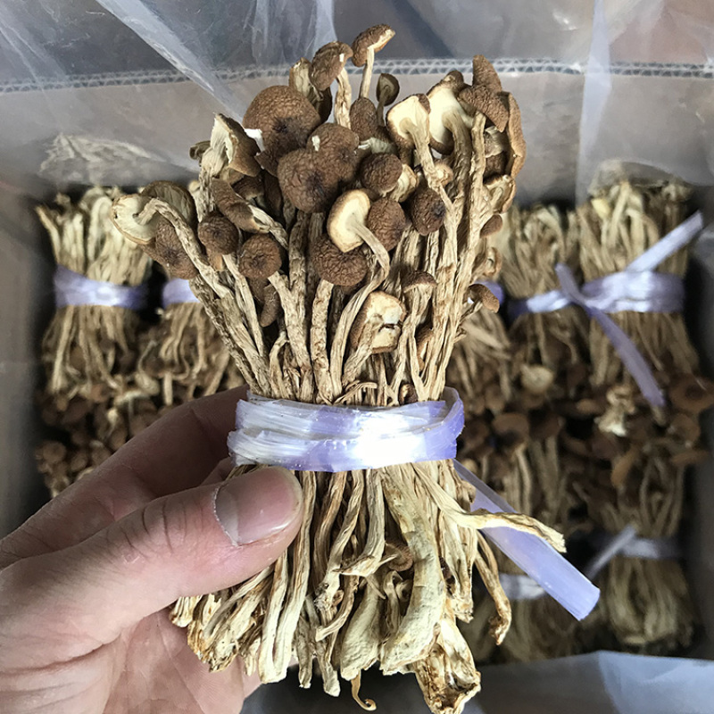 君志江西广昌剪脚茶树菇干货5斤装剪根扎把3号菇新货