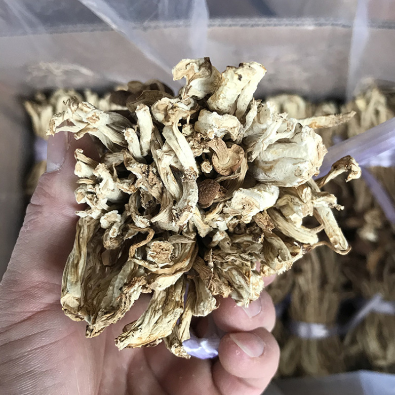 君志江西广昌剪脚茶树菇干货5斤装剪根扎把3号菇新货