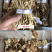 君志江西广昌剪脚茶树菇干货5斤装剪根扎把3号菇新货