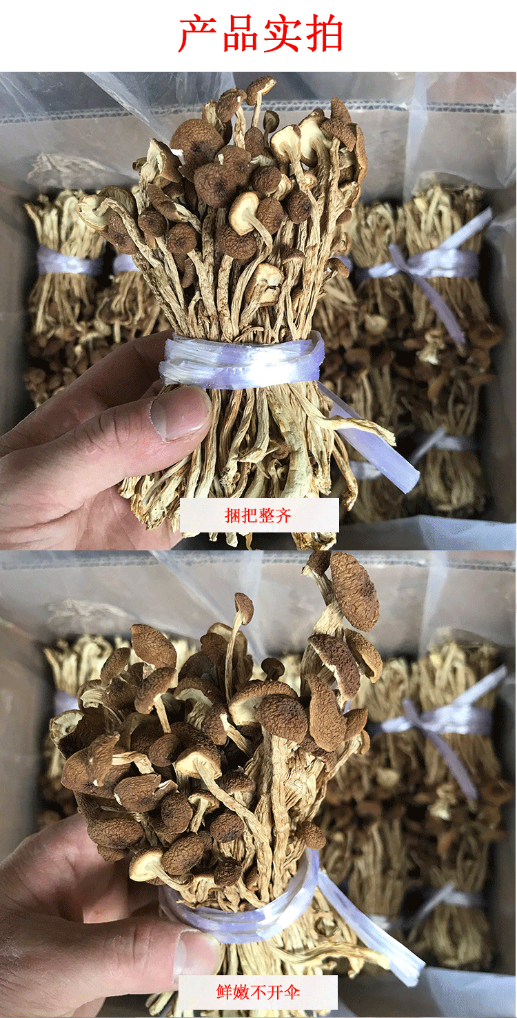 君志江西广昌剪脚茶树菇干货5斤装剪根扎把3号菇新货