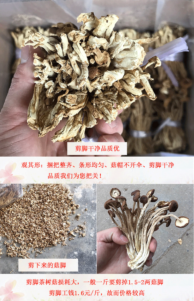 君志江西广昌剪脚茶树菇干货5斤装剪根扎把3号菇新货