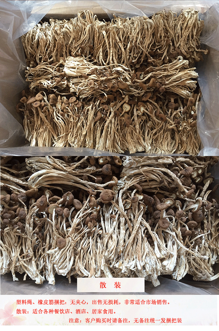 君志江西广昌剪脚茶树菇干货5斤装剪根扎把3号菇新货