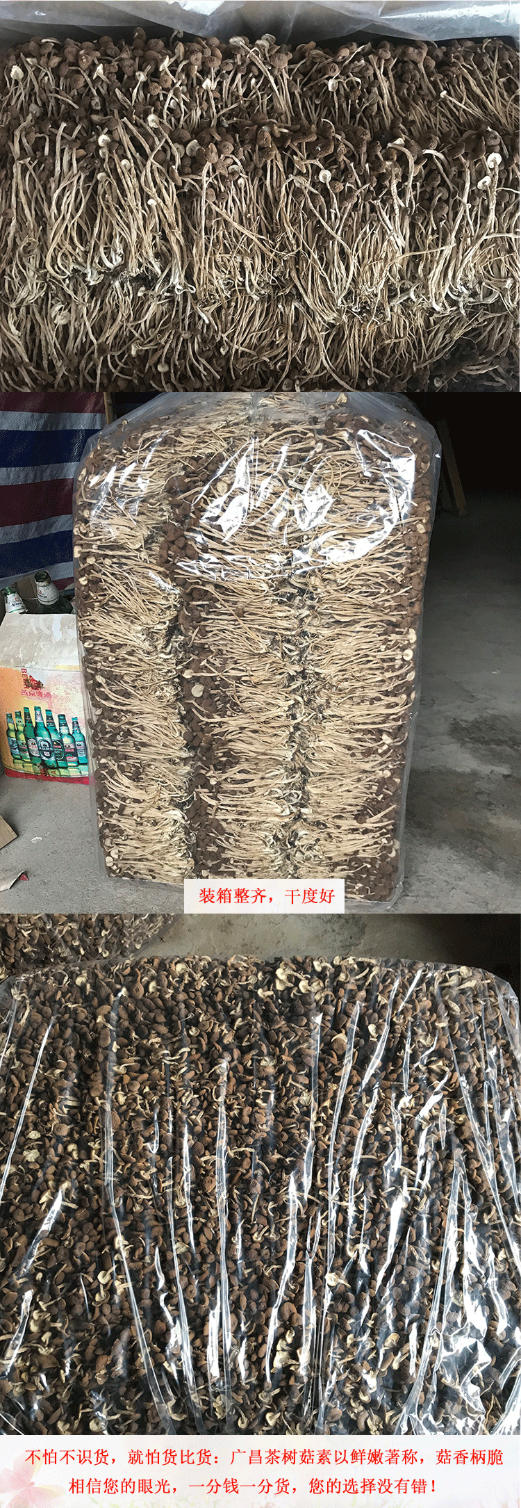 君志江西广昌3号茶树菇干货细条精品5斤装包邮产地货源