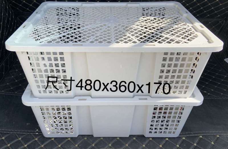 桂圆筐_加厚加重_多功能一次性带盖筐_耐摔耐撞质量好