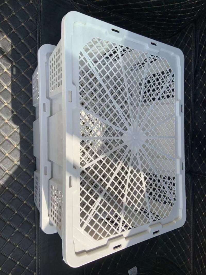 桂圆筐_加厚加重_多功能一次性带盖筐_耐摔耐撞质量好