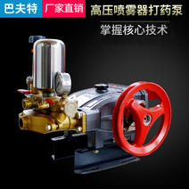 三缸柱塞泵农用高压打药机自吸泵头机动喷雾器