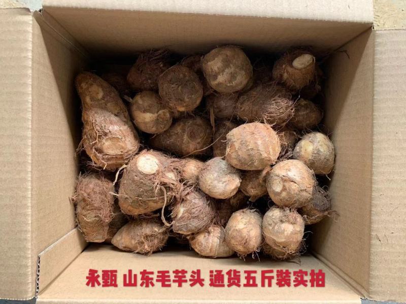 《电商一件代发》山东奶心芋头一件代发毛芋头一件代发质保证