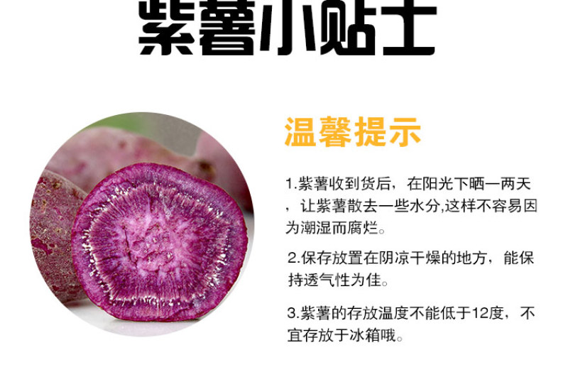 山东紫罗兰紫薯一件代发电商全渠道代发中通京东包邮源头供应