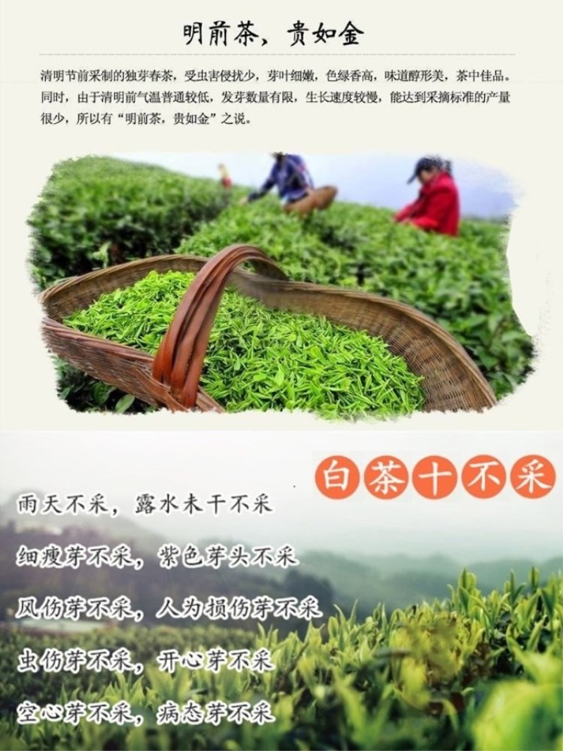 狗牯脑白茶高山云雾明前新茶江西狗脑贡白茶500g袋装包邮