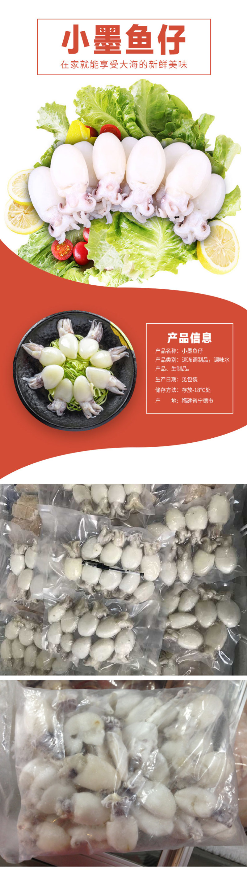 A级小墨鱼仔急冻10-25g货柜批发