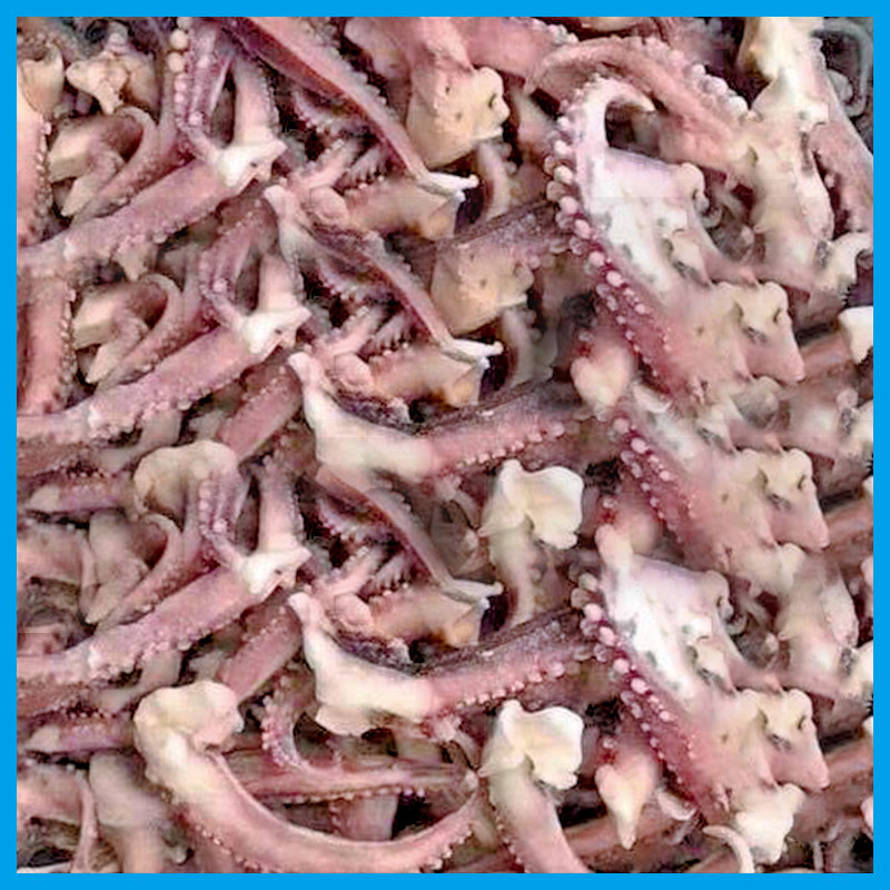 A级脆口鱿鱼须20-30g货柜批发