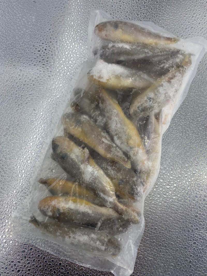 黄花鱼特价干冻小黄鱼新鲜小黄鱼