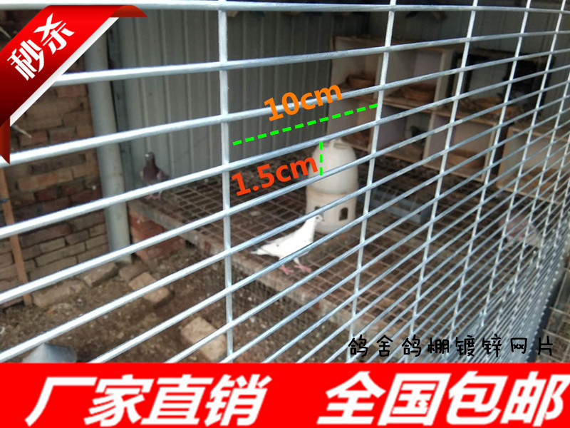 鸽笼网舍兔笼鸡笼子防鼠蛇镀锌网片加粗防护网养殖网厂家直销