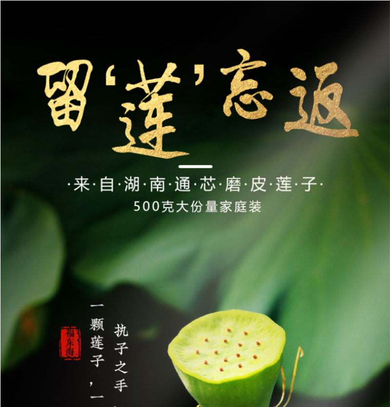 福东海湘潭莲子去皮磨皮通芯湘莲子煮糖水配料食材500g包