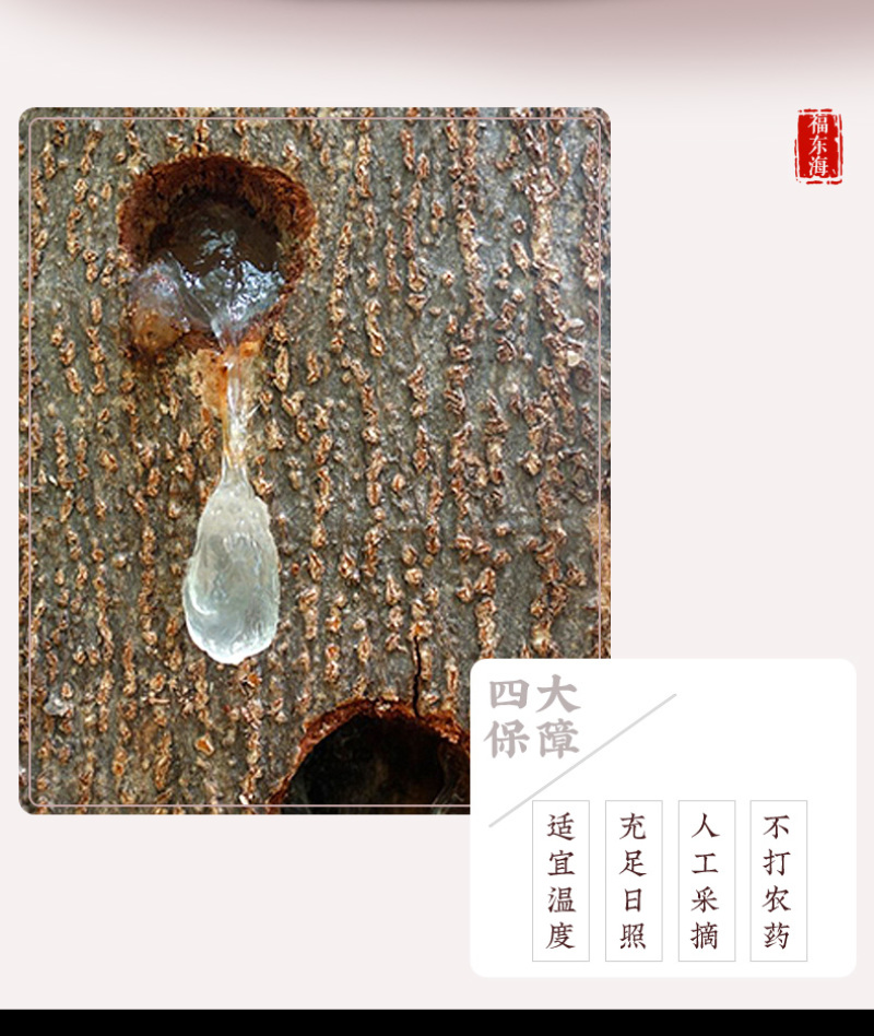福东海雪燕100g植物胶原雪燕可搭配桃胶皂角米