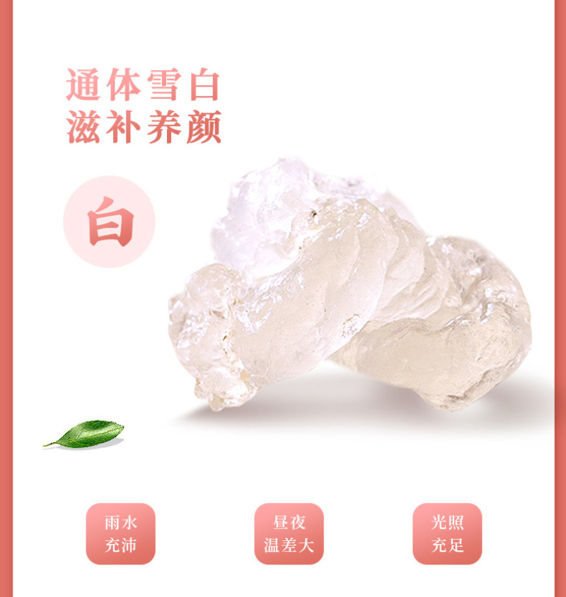 桃胶皂角米雪燕组合520g皂角米云南野生拉丝雪燕旗舰店正