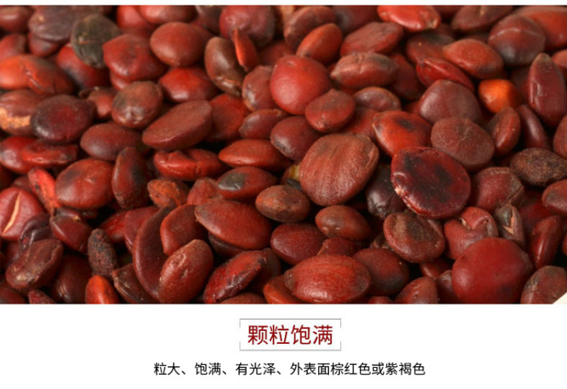 福东海炒酸枣仁熟酸枣仁茶汤炒制酸枣仁茶汤100g瓶装