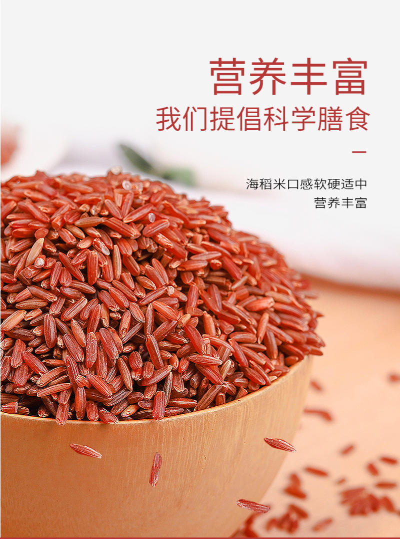 福东海湛江海红米五谷杂粮紫米黑米营养大红米