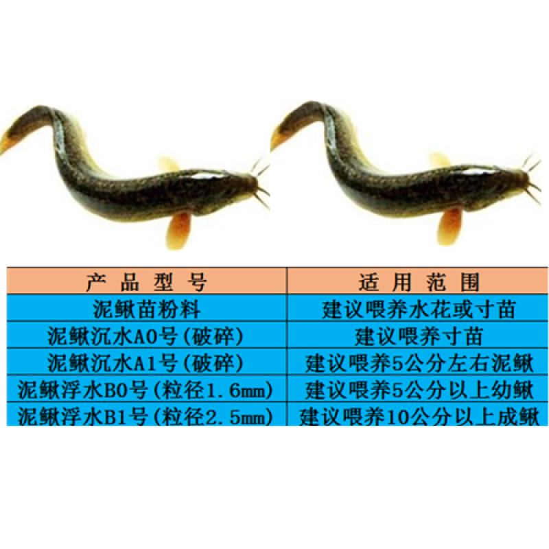 嘉盛泥鳅配合饲料/泥鳅养殖专用饲料/泥鳅开口粉料/浮水料