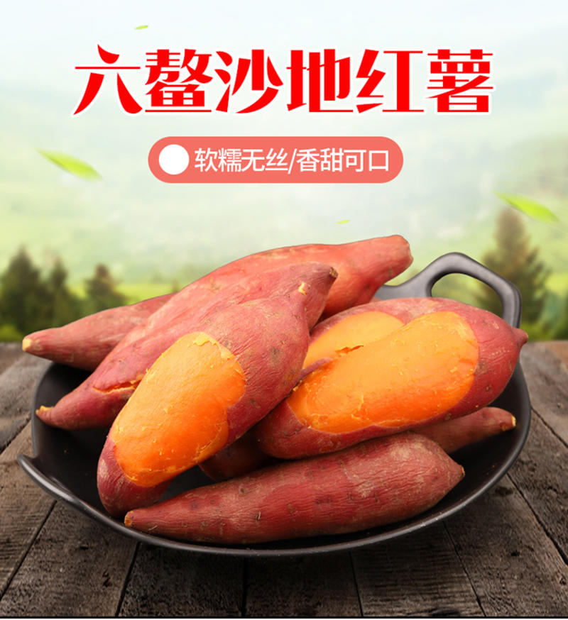【精品红薯】福建漳浦六鳌地瓜红蜜薯中大果5斤装7-20个