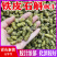 【头茬货】霍山铁皮石斛石斛枫斗礼盒装干条小米斛化渣好