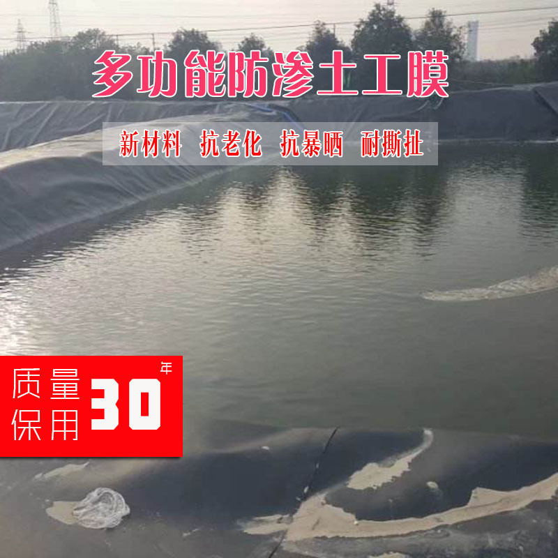 鱼塘膜防渗膜养鱼塑料布鱼池防水布防渗膜黑色的养鱼塘专用薄
