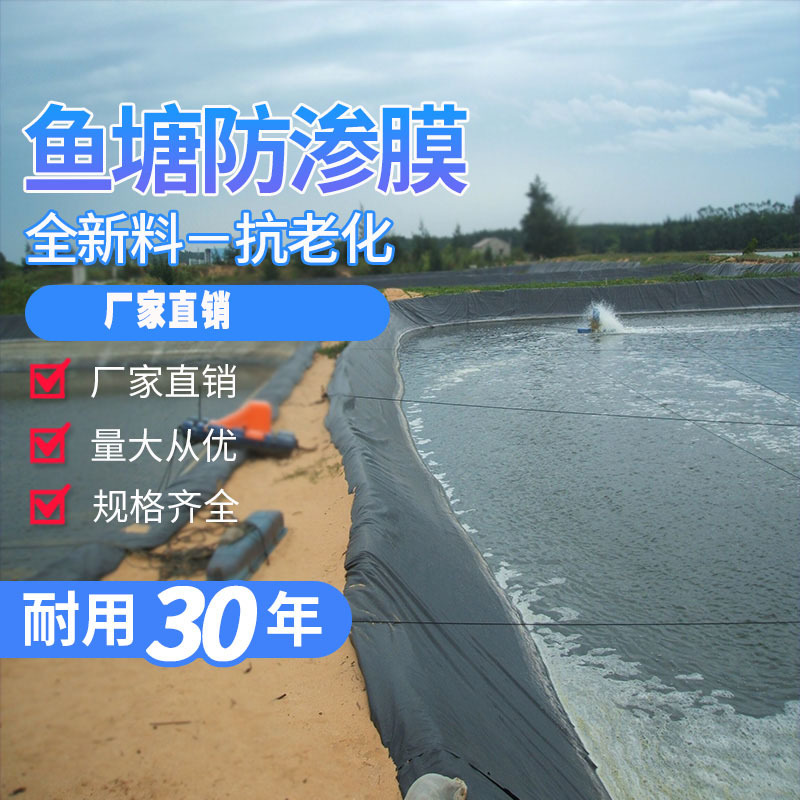 鱼塘膜防渗膜养鱼塑料布鱼池防水布防渗膜黑色的养鱼塘专用薄