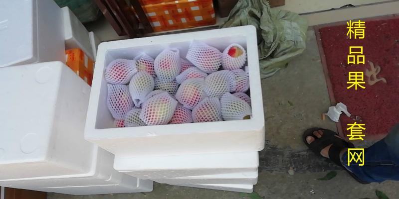 黄心油桃产地直发大量上市电商社区一件代发合作