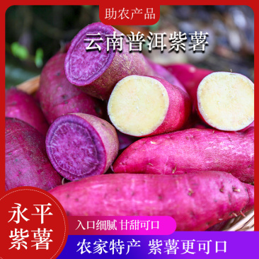 云南紫薯