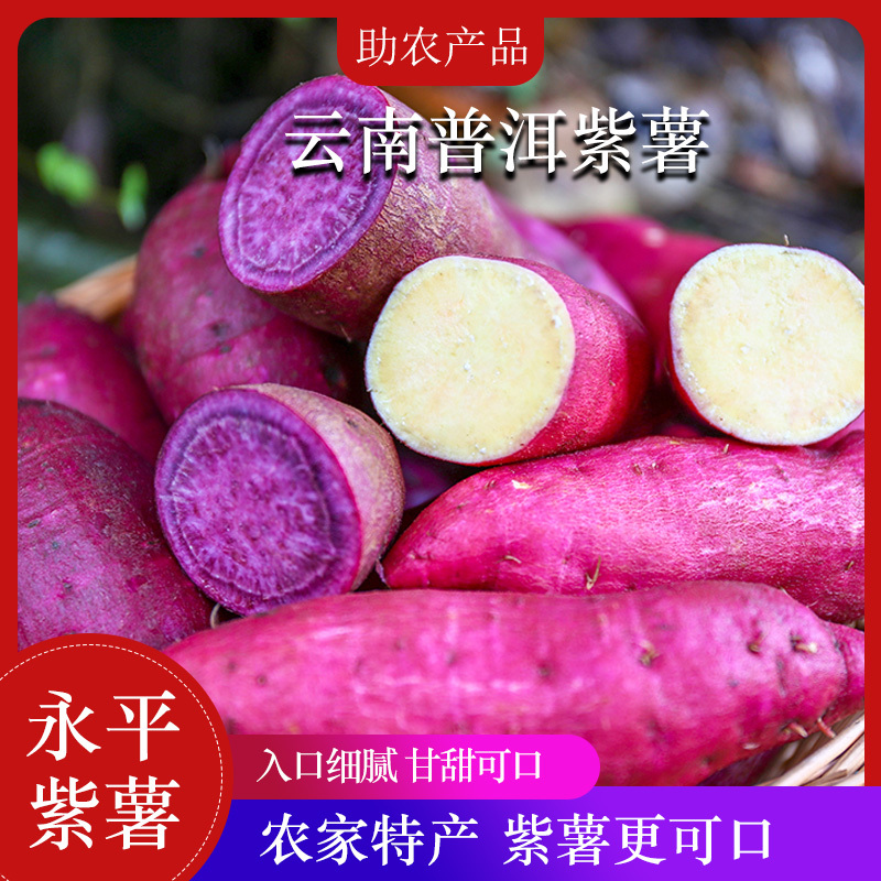 云南紫薯