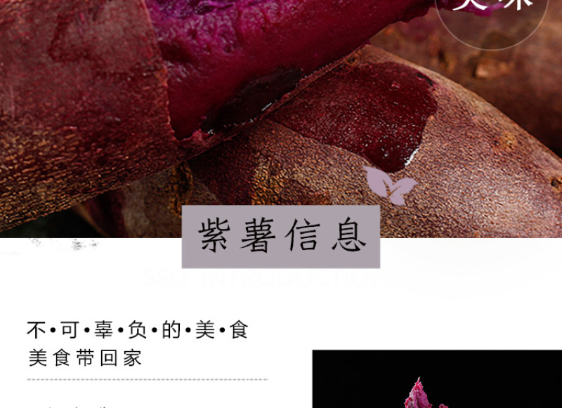 云南紫薯