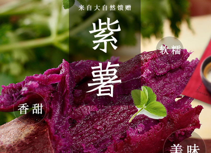 云南紫薯