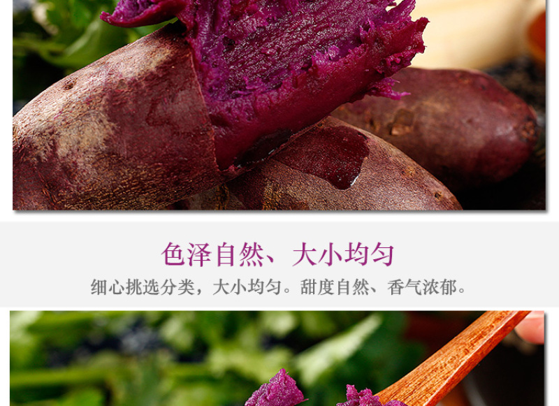 云南紫薯