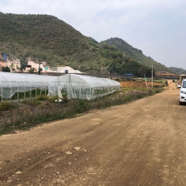 文山广南县1000亩水浇地出租