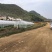 文山广南县1000亩水浇地出租