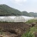 文山广南县1000亩水浇地出租