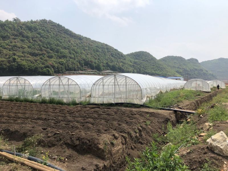 文山广南县1000亩水浇地出租