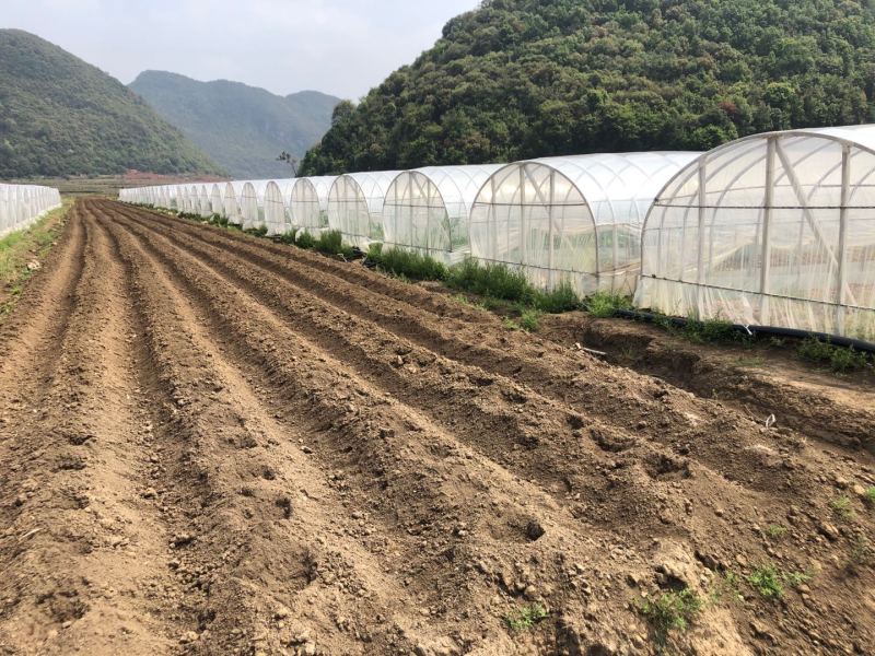 文山广南县1000亩水浇地出租