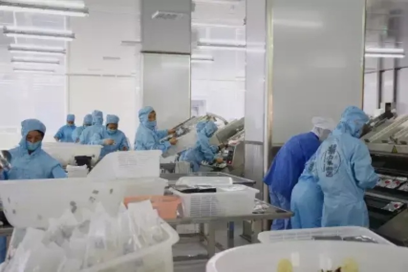 杨家酱懒人火锅素菜版