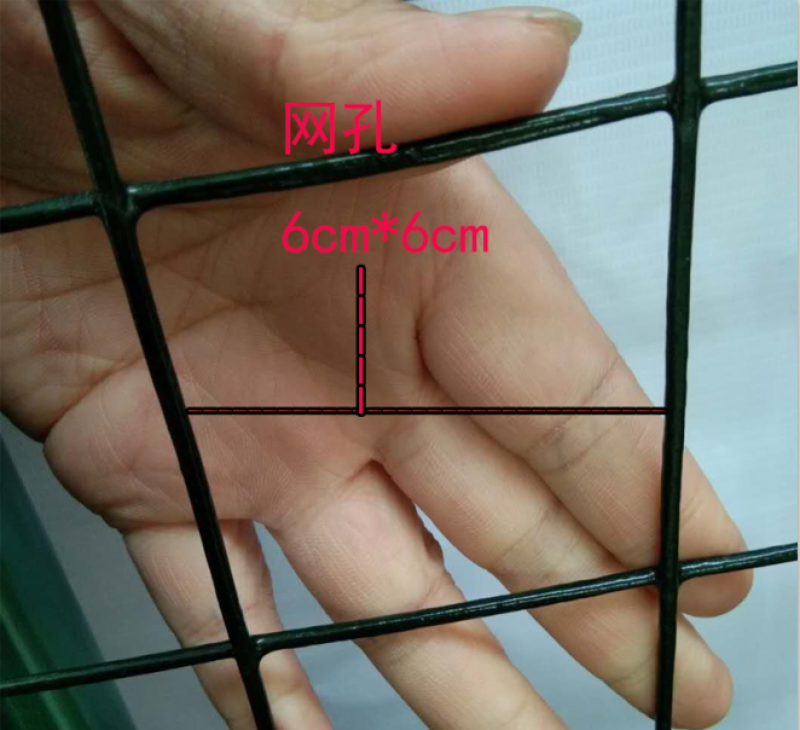 【今日有礼】养殖网铁丝网围栏栅家用圈地菜园鱼塘硬塑荷兰网
