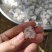 拉丝雪燕品质保障产地直销量大从优让您放心购买