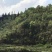 文山广南县800亩荒山出租