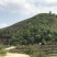 文山广南县800亩荒山出租
