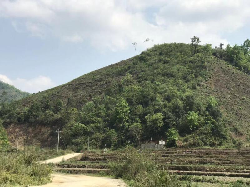 文山广南县800亩荒山出租