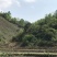 文山广南县800亩荒山出租