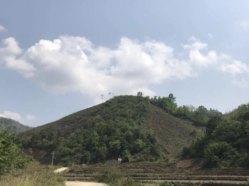 文山广南县800亩荒山出租
